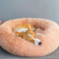 Cama Nuvem | Para Cachorro e Gato